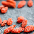 Ningxia Organic Dry Goji Berry dengan Harga Rendah